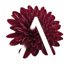 Aanira Group